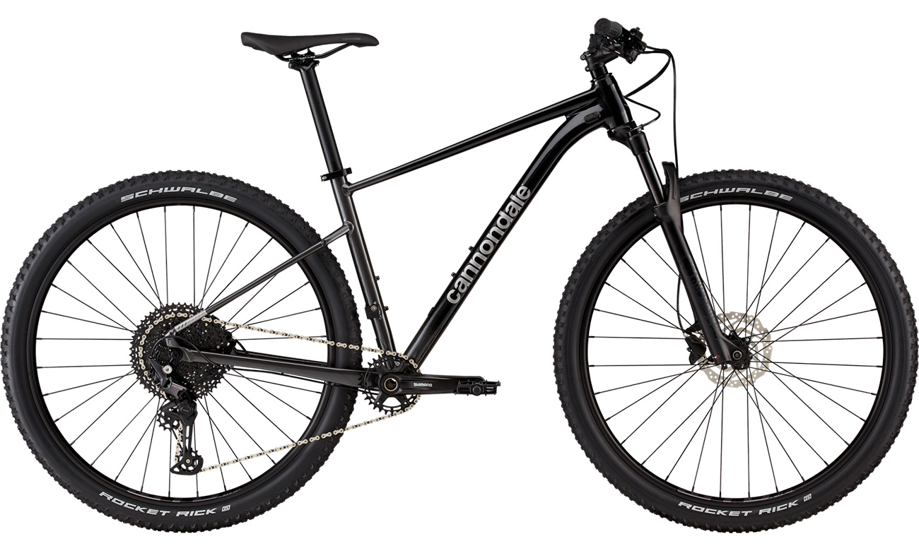 Фотография Велосипед Cannondale TRAIL SL 3 29" 2021, размер L, Черно-серый